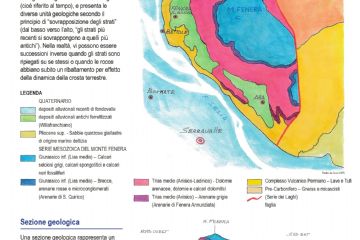 Carta geologica semplificata