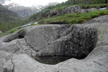 Stop 3 - Alpe Pile: Marmitte glaciali e rocce montonate