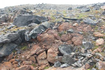 Listveniti del Corno del Camoscio