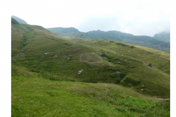 Danni causati dalle predazioni da grandi carnivori al patrimonio zootecnico piemontese. Bando 1/2025