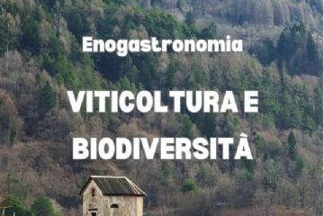 Viticoltura e biodiversit&#224; il ruolo delle aree protette e la rinascita del Boca 