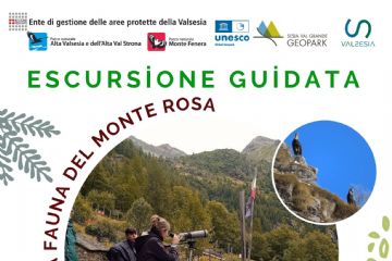 La fauna del Monte Rosa